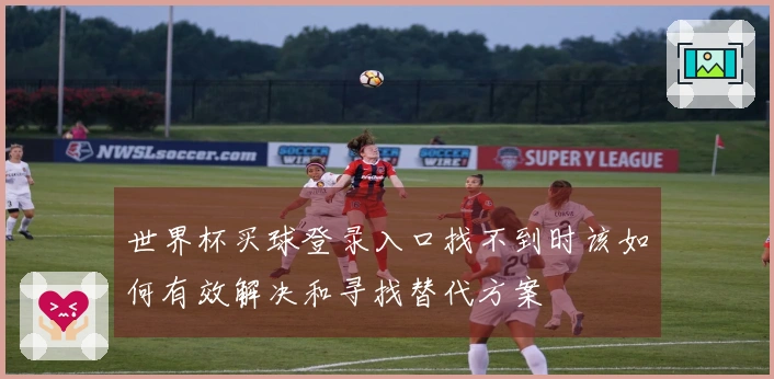 世界杯买球登录入口找不到时该如何有效解决和寻找替代方案