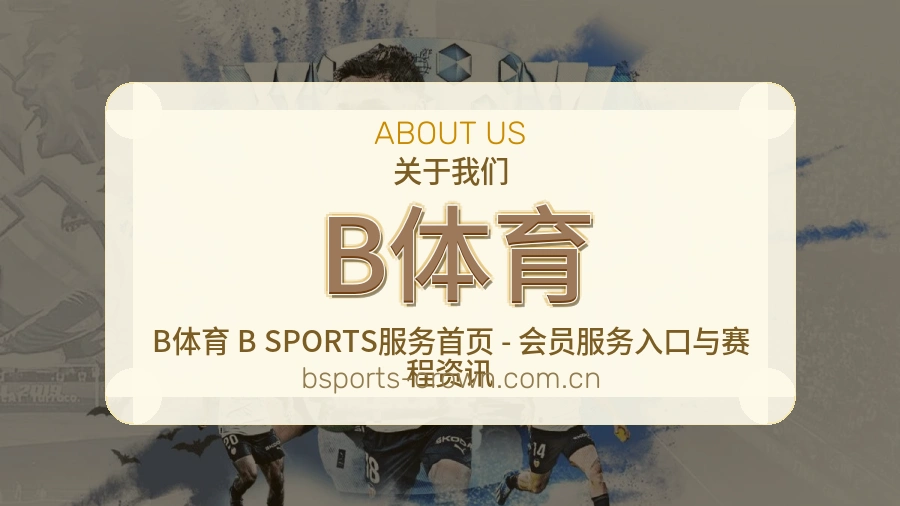 关于 B体育